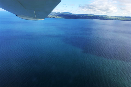 Catalina - Lake Taupo